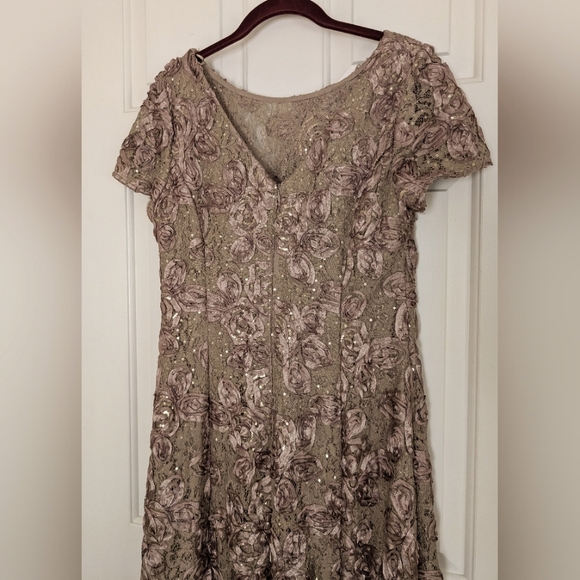 Alex Evenings Gorgeous Lace A-Line Gown - Picture 8 of 14